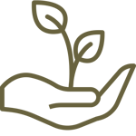 growth (2)